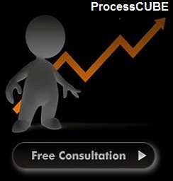 web designing company in ProcessCUBE